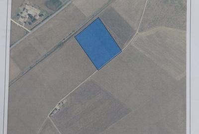 Teren agricol extravilan de 32000 mp, în Central