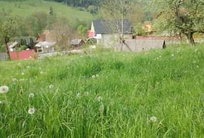 Spațiu comercial, în Vidra - 4