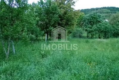 Teren de 994 mp, în Budiu Mic - 8