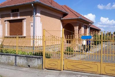 Casă individuală cu 5 camere cu Teren 3600 Mp în Petrești - 2