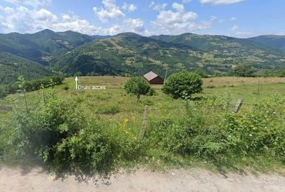 Teren de 10524 mp, în Plopi - 5