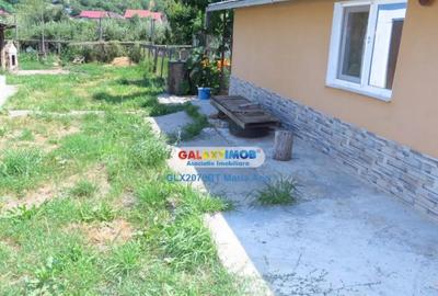 Casă cu 3 camere cu Teren 5000 Mp în Central - 2