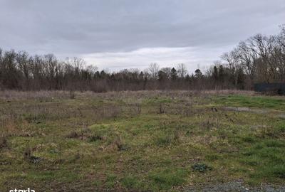 Spațiu comercial, în Central - 6