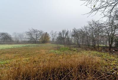 De vânzare Casă cu Grădină Generoasă in Dorobanți - 3