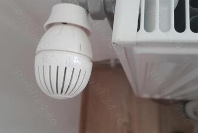 Apartament cu 2 camere semidecomandat în Drăgășani - 1