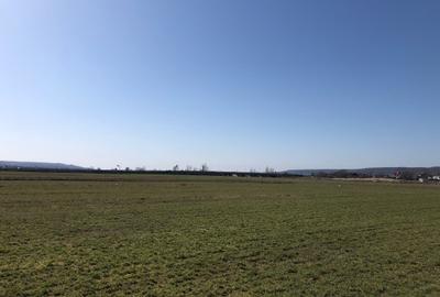 Teren extravilan de 4000 mp, în Mărăcineni - 17