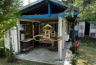 Casa batraneasca cu 2ha de teren de vanzare in sat Balaia / Bacau - 16