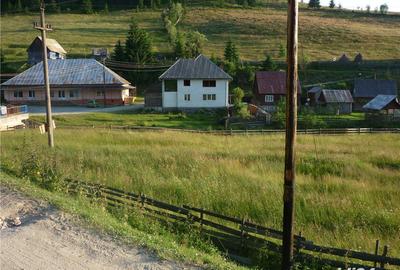 Teren de 3000 mp, în Poiana Horea - 10
