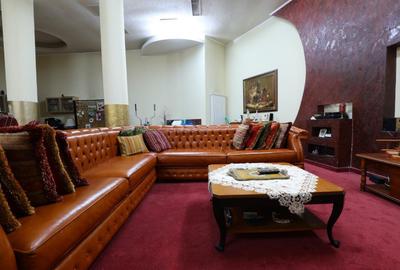 Vila Pipera Iancu Nicolae - British School - 16