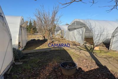 Teren intravilan vanzare - 2.750 mp – Darvari/Tamadalu Mare (judetul Calarasi) - 7