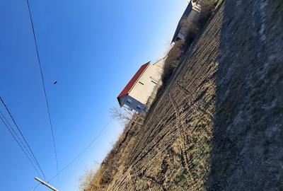 Spațiu comercial, în Central - 3