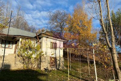 Casă cu 3 camere în Central - 3