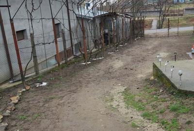 Casă cu 3 camere cu Teren 2000 Mp în Dăbâca - 3