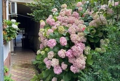 Apartament cu 2 camere semidecomandat, mobilat în P-ța Muncii - 7