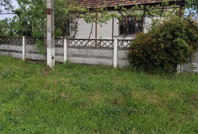 Casă cu 4 camere în Aleuș - 1