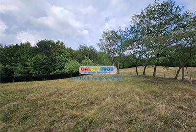 Teren 2680 m situat la Curtea de Arges cu iesire spre Trans - 7