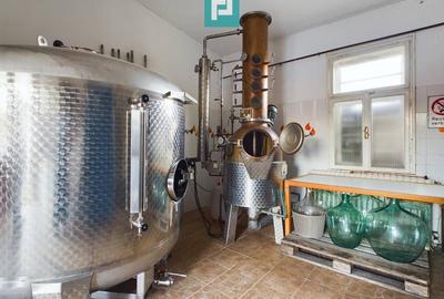 Casă individuală cu 6 camere cu Canalizare în Miniș - 20