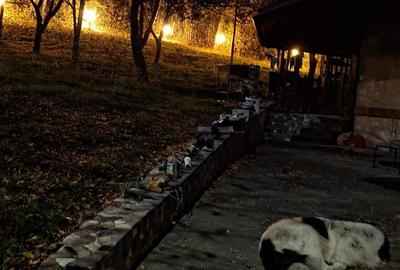 Casă cu 4 camere semidecomandat în Central - 7