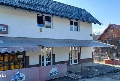 Spațiu comercial, de 33 mp, în Vama - 9