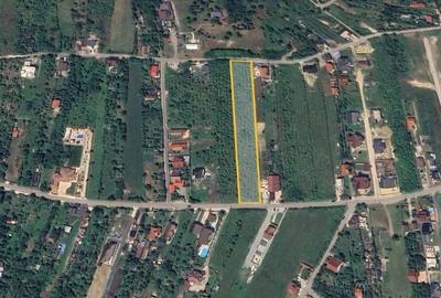 Teren de 5755 mp, în Vulcan