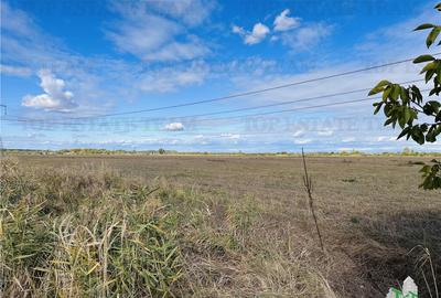 Teren 30 hectare, 500 m deschidere la A1, langa Bolentin Val - 13