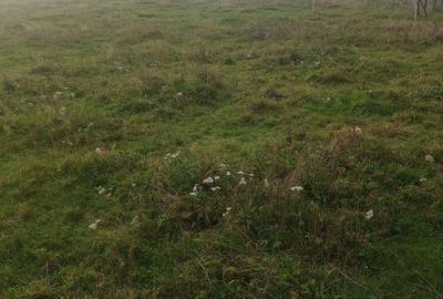 Spațiu comercial, în Măguri - 2