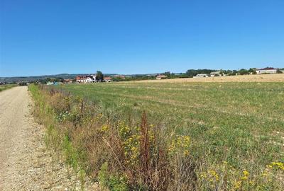 Reco, Teren intravilan Osorhei - 5