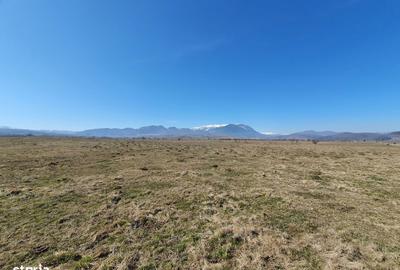 Spațiu comercial, în Central - 2