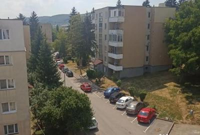 Apartament cu 3 camere semidecomandat în Simeria - 13