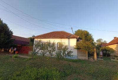 Casa ideală pentru familie sau vacanță, în inima naturii - Dorobanti - 1