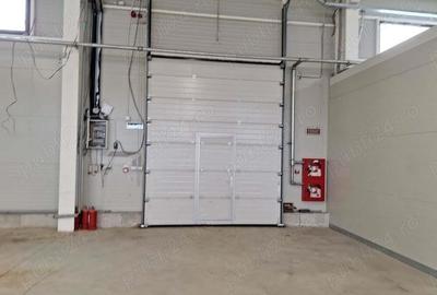 Afumati inchiriere spatiu hala - 3