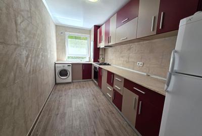 Apartament 2 camere si dressing parter cu gradina - 12