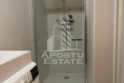 Apartament 1 camera la casa cu curte, centrala proprie, Elisabetin - 6