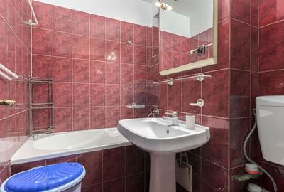 Apartament cu 5 camere de vânzare P-ta Victoriei Veronica Micle - 11