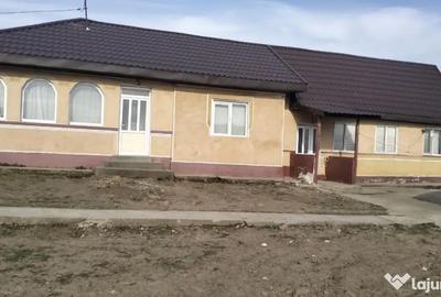 Casă cu 7 camere în Borcea