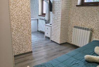 Apartament cu 2 camere, mobilat în P-ța Ovidiu - 8