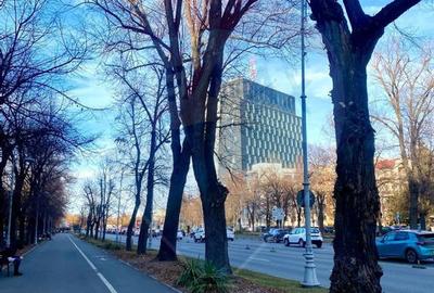 Spațiu comercial, de 196 mp, în Ultracentral - 4