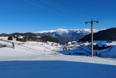 Teren Intravilan Fundata 1421Mp - 7