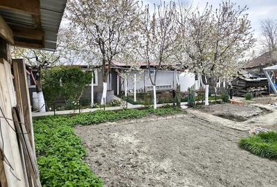 Casă cu Teren 850 Mp în Râmniceni - 2