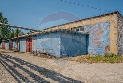 Spațiu industrial, de 12,000 mp, în Periferie - 19
