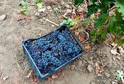 Teren de 2700 mp, în Fântânele - 6