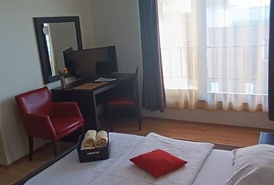 Apartament în Dosu Bricii - 7