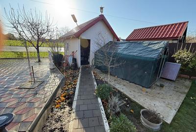 Clinceni, Ilfov - 15