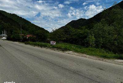 Teren de 4300 mp, în Tarcău - 1