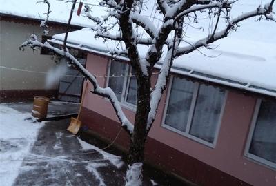 Casă cu 5 camere în Lespezi - 3