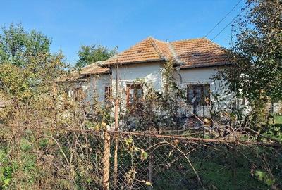 Casă cu 3 camere cu Teren 1500 Mp în Goicea - 2