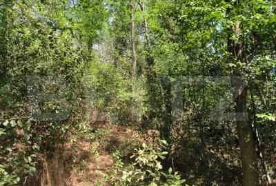 Teren 3000 mp - 1200 mp intravilan, zona Cuparu - 7