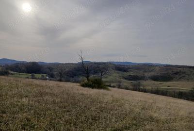 Teren de 19150 mp, în Tomnatic - 3