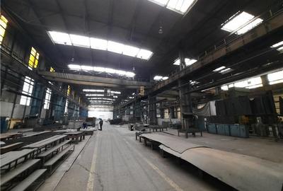 Spatiu Industrial, Clasa B, 5000 mp, Craiova - 6