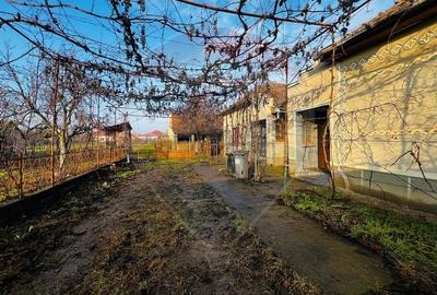 Casă 4 camere in Seitin 2144 teren - 5